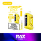 RAZ TN9000 DISPOSABLE VAPE 5% NICOTINE